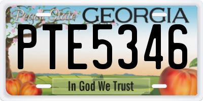 GA license plate PTE5346