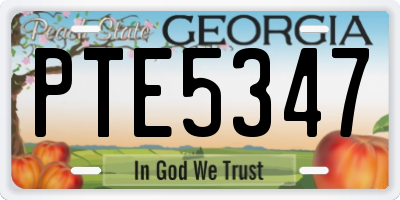 GA license plate PTE5347