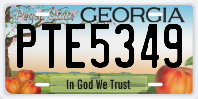 GA license plate PTE5349