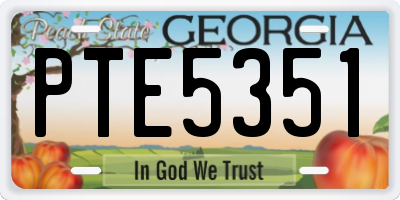 GA license plate PTE5351