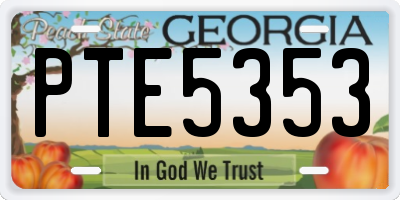 GA license plate PTE5353