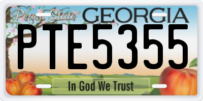 GA license plate PTE5355