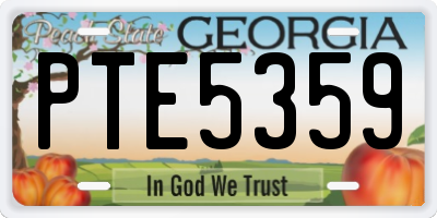 GA license plate PTE5359
