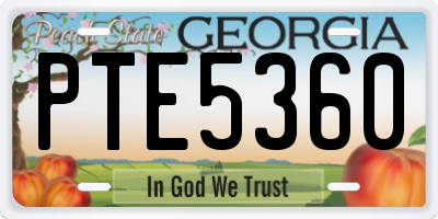 GA license plate PTE5360