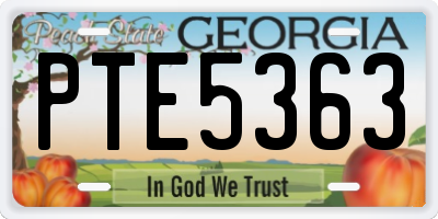 GA license plate PTE5363