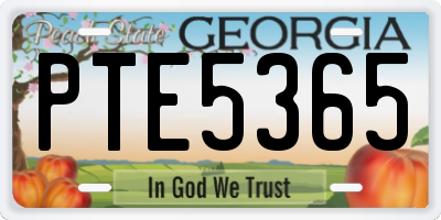 GA license plate PTE5365