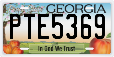 GA license plate PTE5369