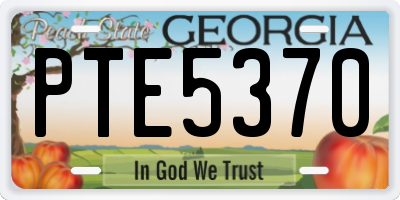 GA license plate PTE5370