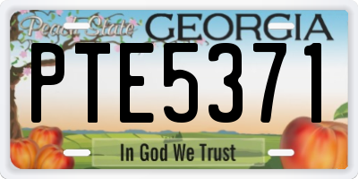 GA license plate PTE5371