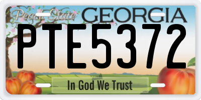 GA license plate PTE5372