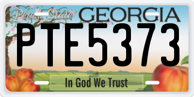 GA license plate PTE5373