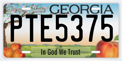 GA license plate PTE5375