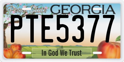 GA license plate PTE5377