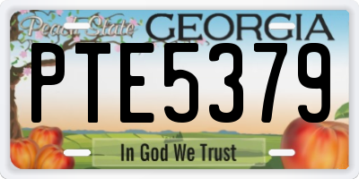 GA license plate PTE5379