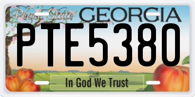 GA license plate PTE5380