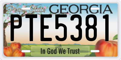 GA license plate PTE5381