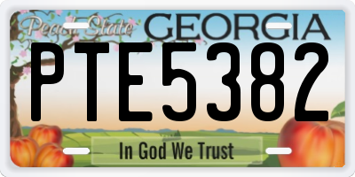 GA license plate PTE5382