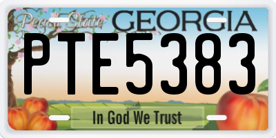 GA license plate PTE5383