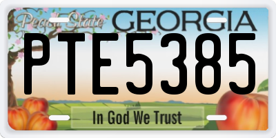 GA license plate PTE5385