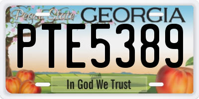 GA license plate PTE5389
