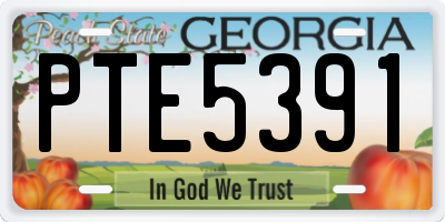 GA license plate PTE5391