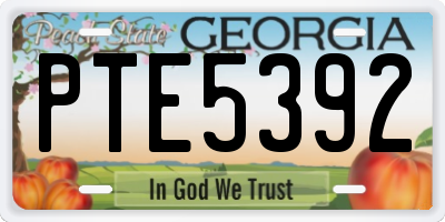 GA license plate PTE5392