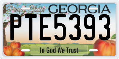 GA license plate PTE5393