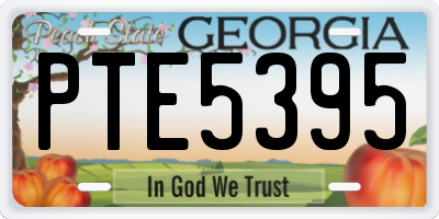 GA license plate PTE5395