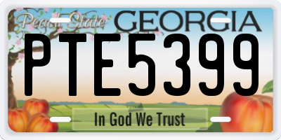 GA license plate PTE5399