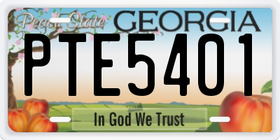 GA license plate PTE5401
