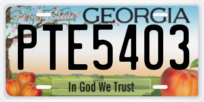 GA license plate PTE5403