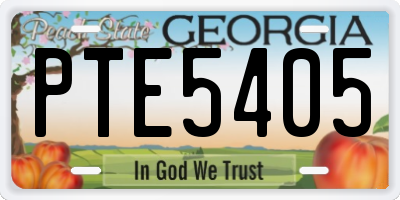 GA license plate PTE5405