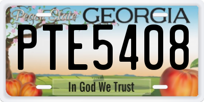 GA license plate PTE5408