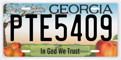 GA license plate PTE5409