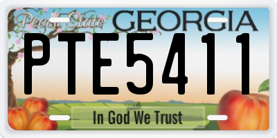 GA license plate PTE5411