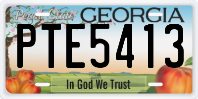 GA license plate PTE5413