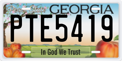 GA license plate PTE5419