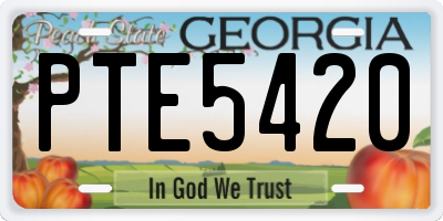 GA license plate PTE5420