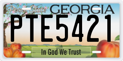 GA license plate PTE5421