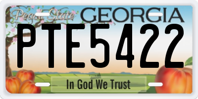 GA license plate PTE5422