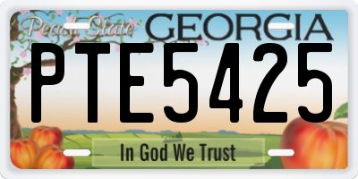 GA license plate PTE5425