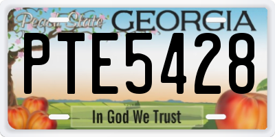 GA license plate PTE5428