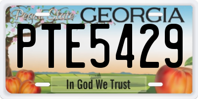 GA license plate PTE5429