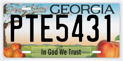 GA license plate PTE5431