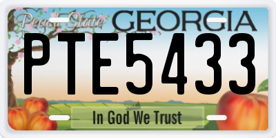 GA license plate PTE5433