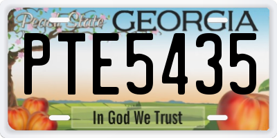GA license plate PTE5435