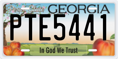 GA license plate PTE5441