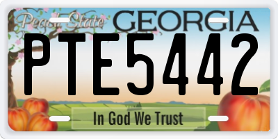GA license plate PTE5442
