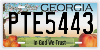 GA license plate PTE5443