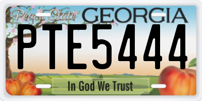 GA license plate PTE5444
